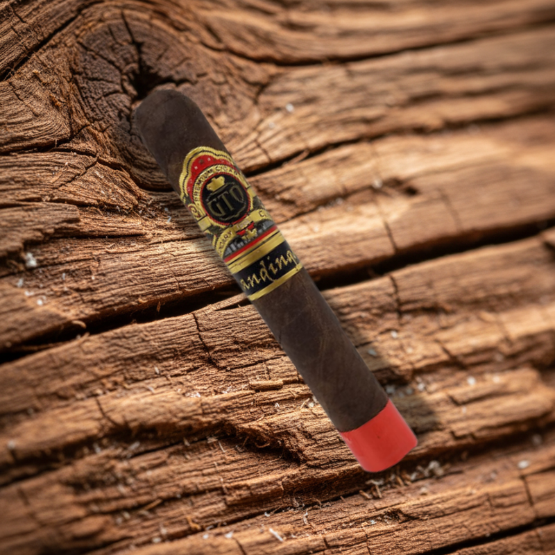 GTO Mandinga | 10-Year Aged Dominican Gran Toro 6x60 Maduro