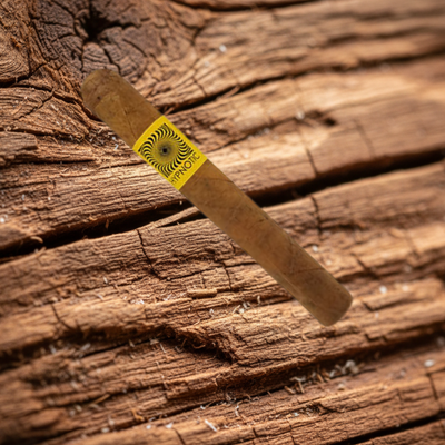 GTO Hypnotic Sweet Tip | Dominican Sweet Tip Cigar | Connecticut & Maduro
