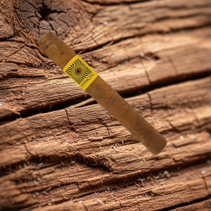 GTO Hypnotic Sweet Tip | Dominican Sweet Tip Cigar | Connecticut & Maduro