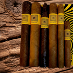 GTO Hypnotic Sweet Tip | Dominican Sweet Tip Cigar | Connecticut & Maduro - Image 2