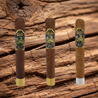 GTO Corona de GTO 10th Anniversary | Top 10 Cigar 2021 | Rated 96 | 1942 Blend