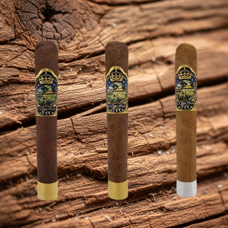 GTO Corona de GTO 10th Anniversary | Top 10 Cigar 2021 | Rated 96 | 1942 Blend