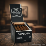 HDA Cataclysm - Image 2