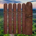 2026 Amazon Basin - 4 Pack - Image 2